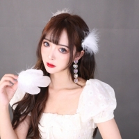 陶鹿鹿个人百科资料与简介